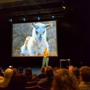 North Atlantic Native Sheep & Wool Conference 2016