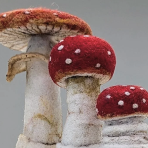 FULL OF WOOL: FOREST FUNGI