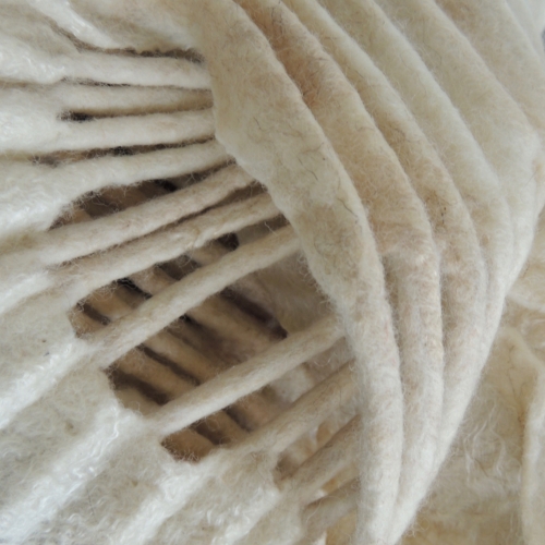 Chantel Cardinal 2022