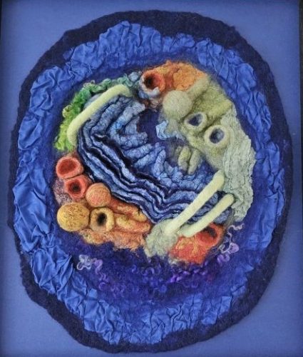 Karen Stewart - 2026