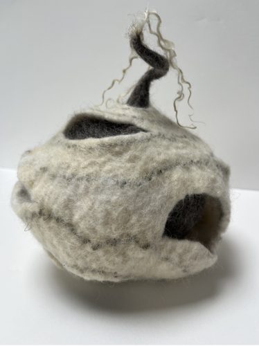 Siobhan Healy Ryan - 2026