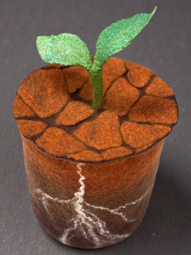 TrekaWenner2b-Red-Dirt-Rising